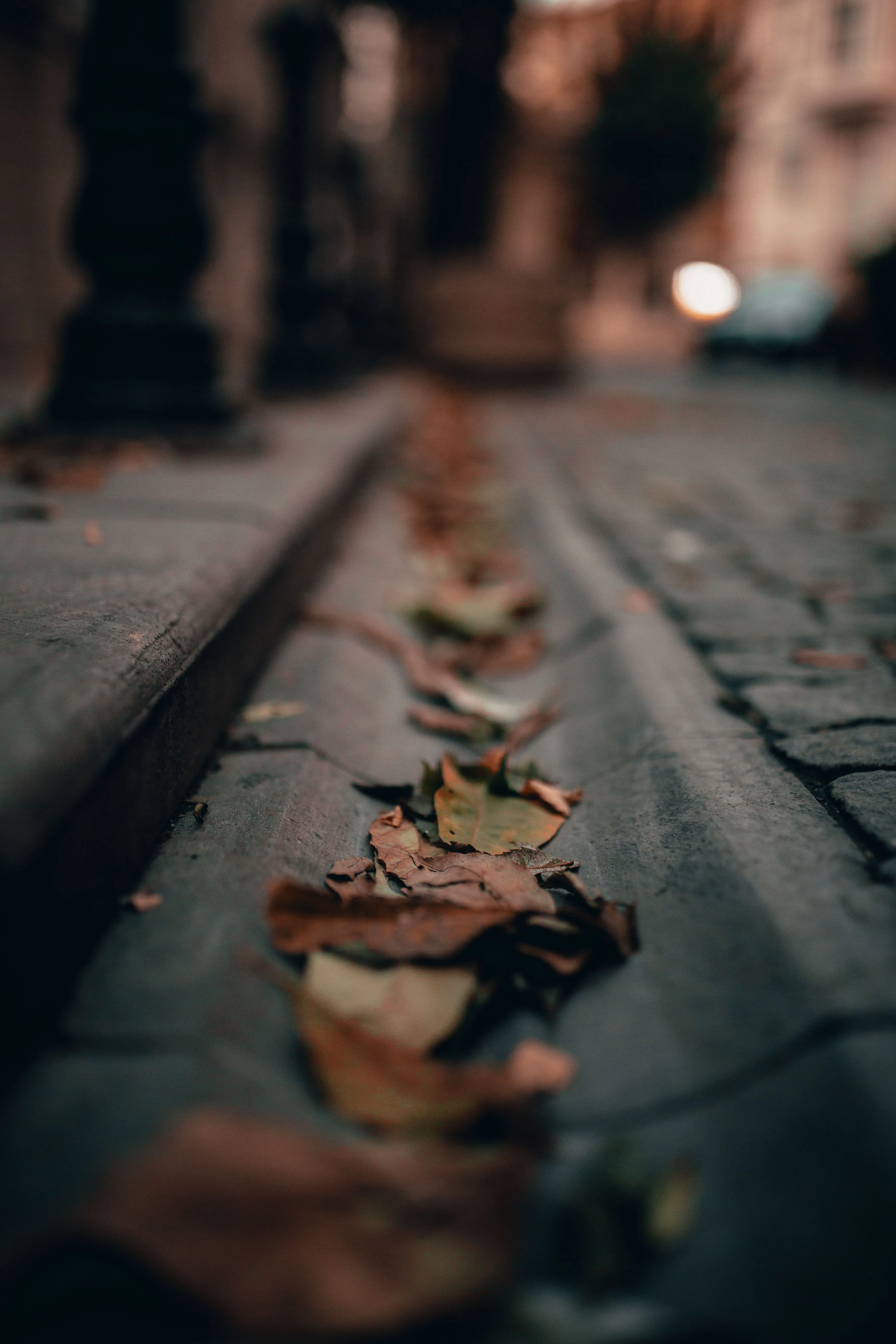 Gutter cleaning by ALK Property Services